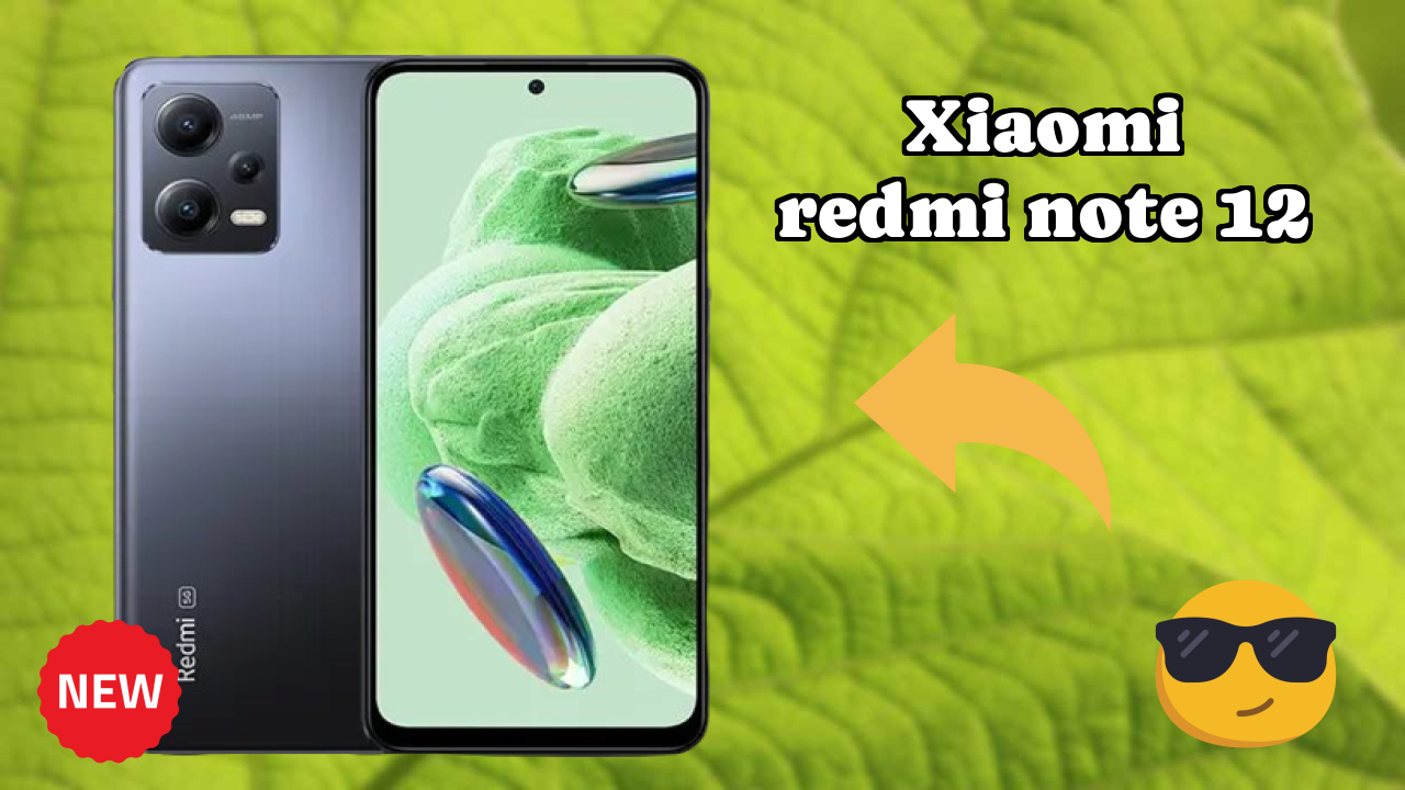 Xiaomi Redmi Note 12 Display Review: 6.67 Inches (16.94 Cm) Screen Test